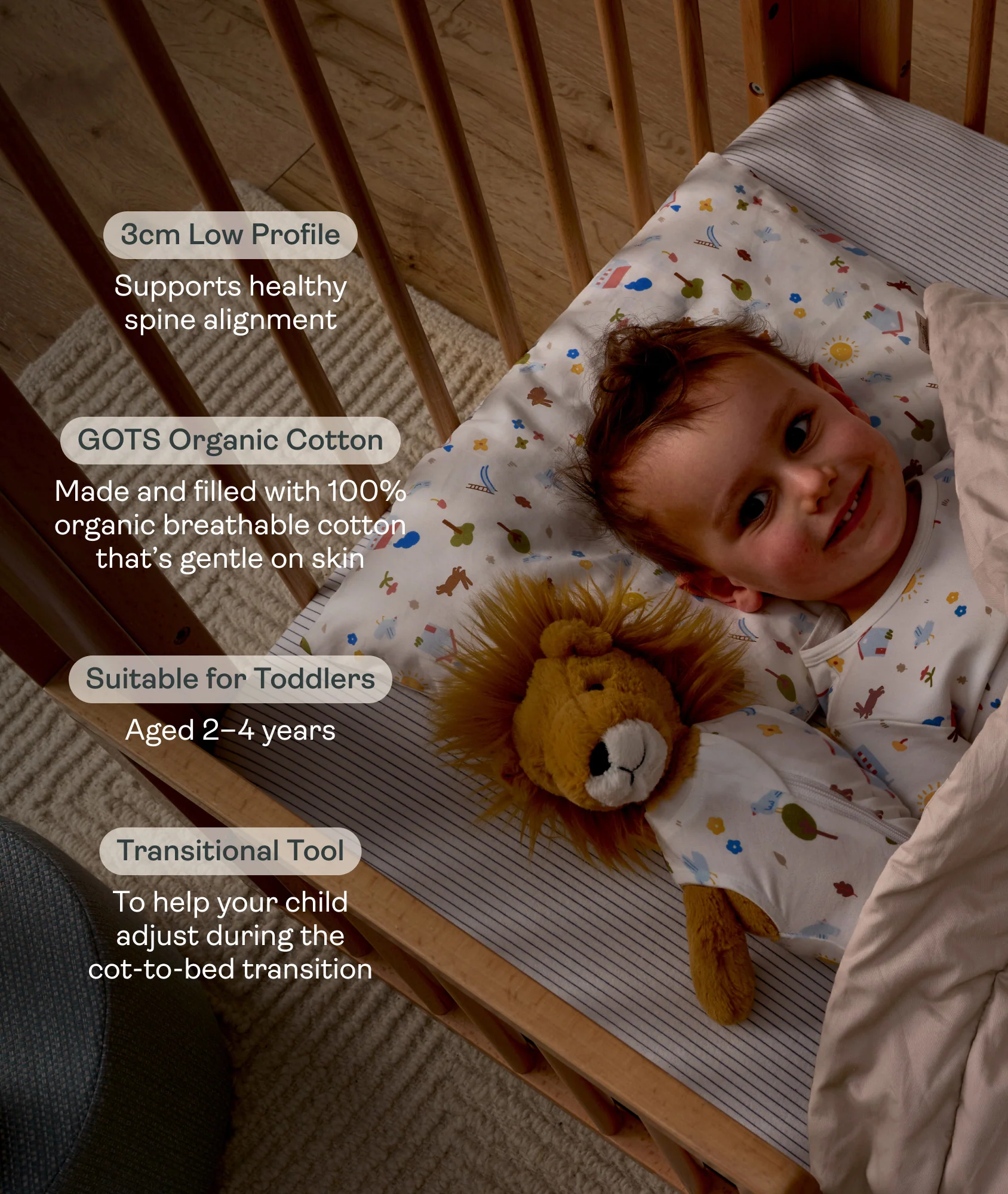 Organic Toddler Pillow and Case Daydream - Image 3